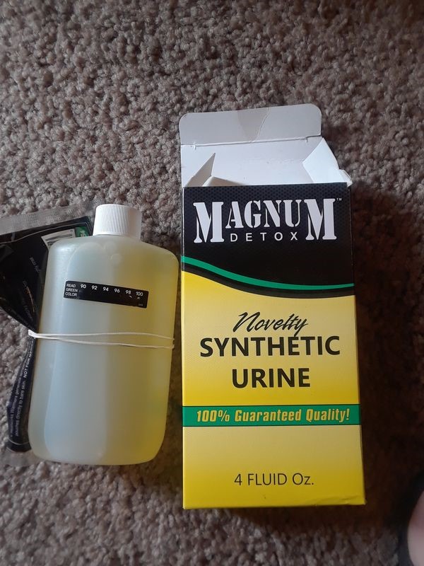 Synthetic Urine Temp Renaissance Saint Petersburg FL